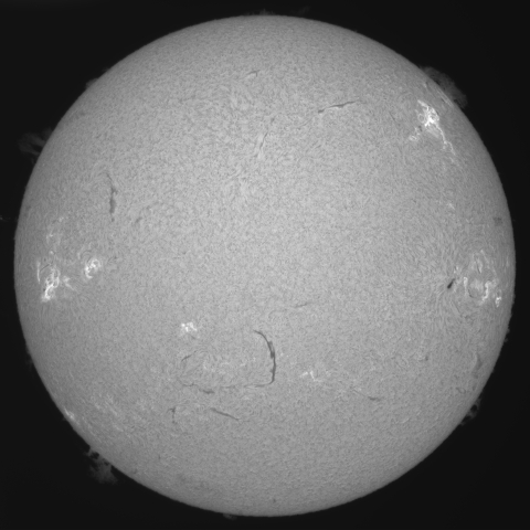 5月20日の太陽 (178MM ダブルスタック) 