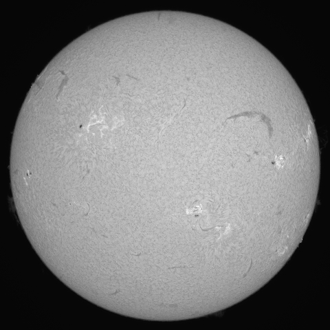 7月28日の太陽 (シングルスタック)