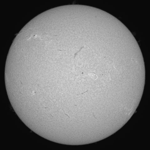 8月20日の太陽 (シングル)