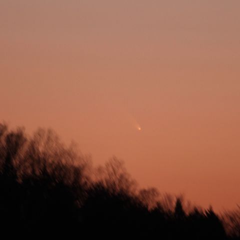 パンスターズ彗星 (3/11)