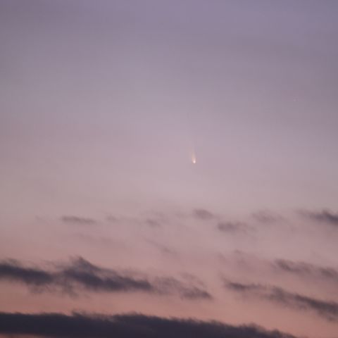 パンスターズ彗星 (3/14)