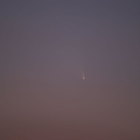 パンスターズ彗星 (3/15)