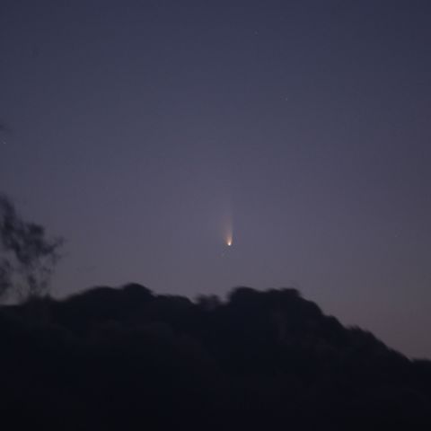 パンスターズ彗星 (3/16)