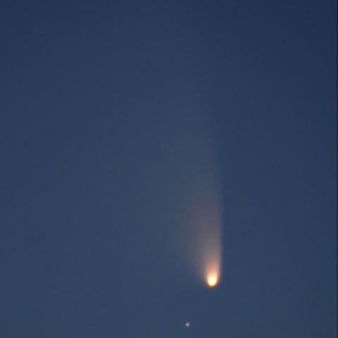 パンスターズ彗星 (3/16)　頭部拡大