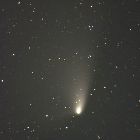 パンスターズ彗星 (4/9) 1200mm
