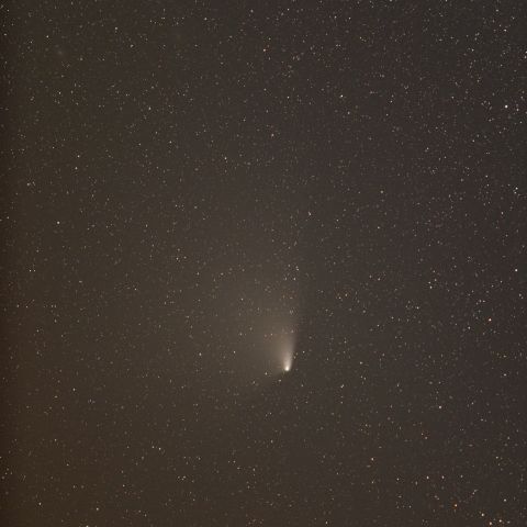 パンスターズ彗星 (4/9) 300mm