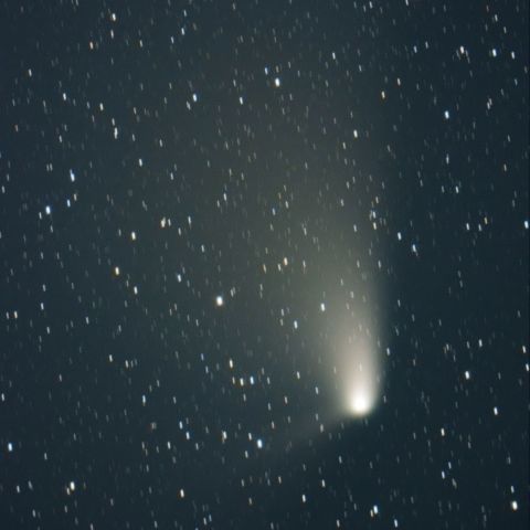 パンスターズ彗星 (4/14) 1200mm
