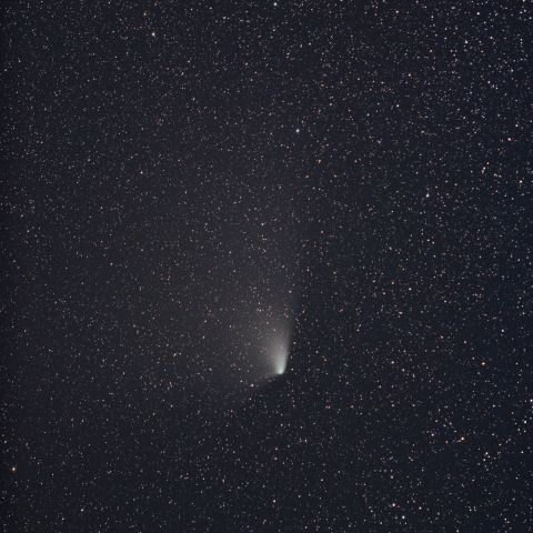 パンスターズ彗星 (4/13) 　300mm