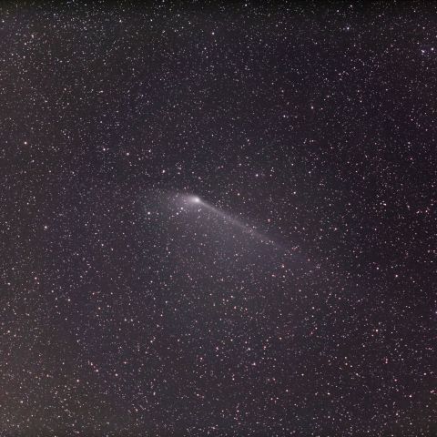 パンスターズ彗星 (5/18) 300ｍｍ