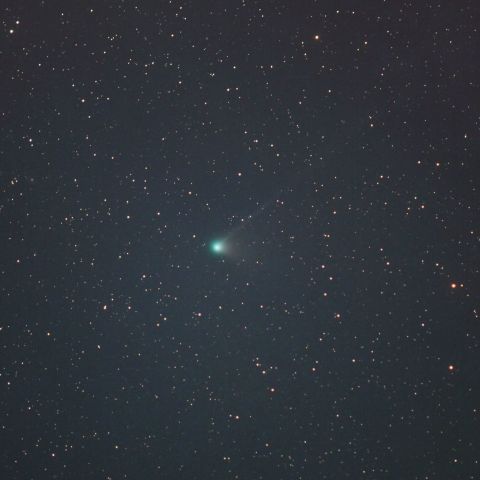 レモン彗星 (5/17) 