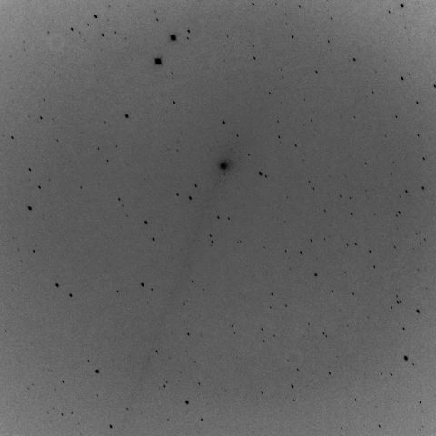 パンスターズ彗星 (5/26) 1200ｍｍ