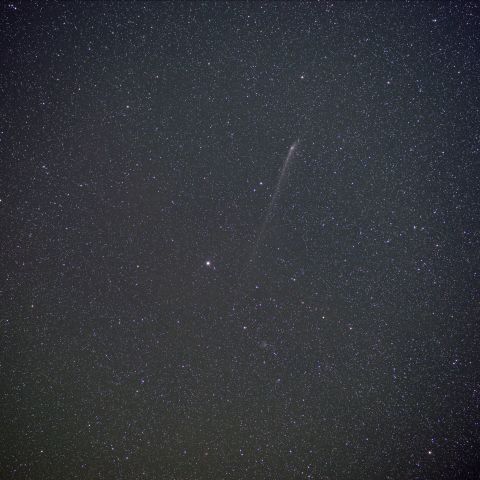 北極星とパンスターズ彗星 (5/31) 70ｍｍ