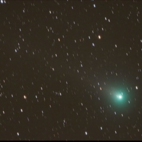 ラブジョイ彗星　(11/5)　1200mm