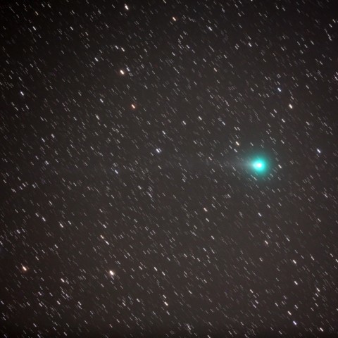 ラブジョイ彗星　(11/5)　430mm