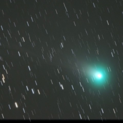 ラブジョイ彗星　(11/8)　1200mm