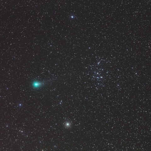 ラブジョイ彗星とM44　(11/8)　