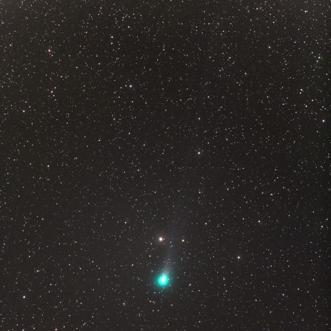 ラブジョイ彗星　(11/12)　300mm