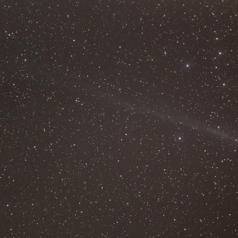 ラブジョイ彗星　(11/13)　300mm