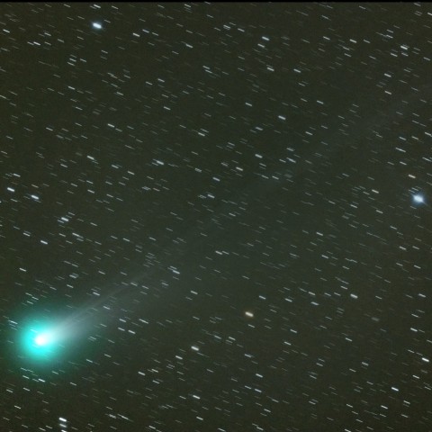 ラブジョイ彗星　(11/14)