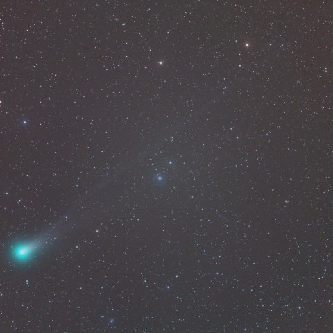 ラブジョイ彗星　(11/14) 300mm