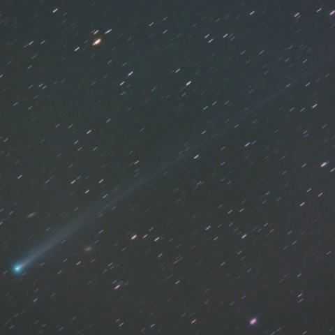 アイソン彗星 (11/14) 