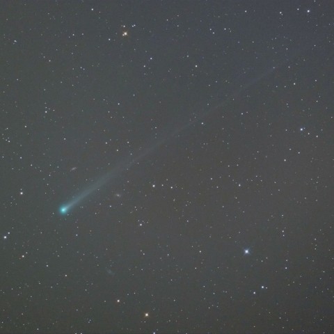 アイソン彗星と点在する小宇宙 (11/14) 