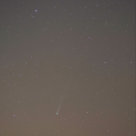 暁のアイソン彗星 (11/16) 　85mm