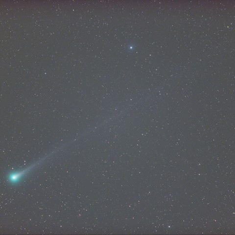 ラブジョイ彗星　(11/16)　300ｍｍ