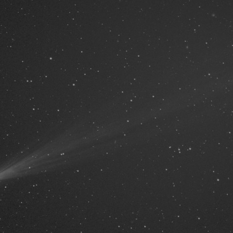 アイソン彗星 (11/16)  300mm　白黒