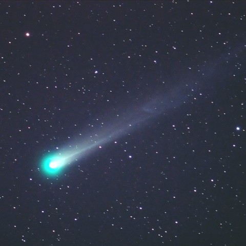 ラブジョイ彗星　(12/5)　頭部