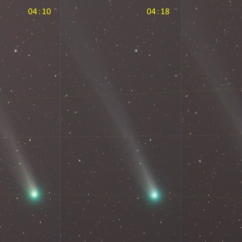 ラブジョイ彗星頭部と尾の変化　(12/5)　