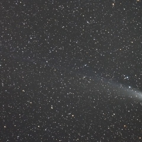 ラブジョイ彗星　(01/13)