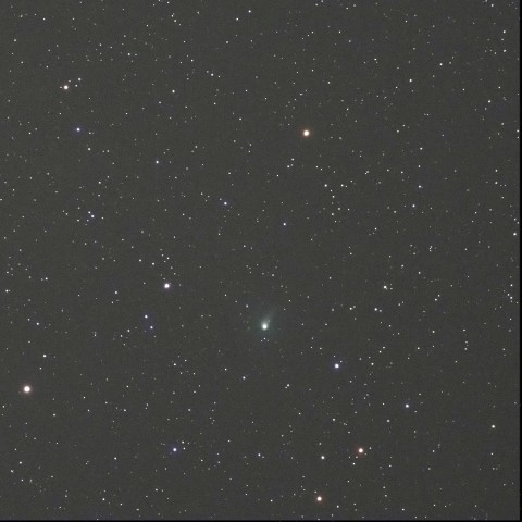 パンスターズ彗星 (4/8) 300ｍｍ