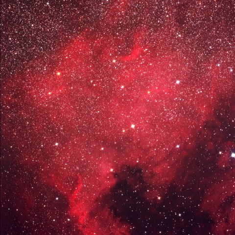 NGC7000