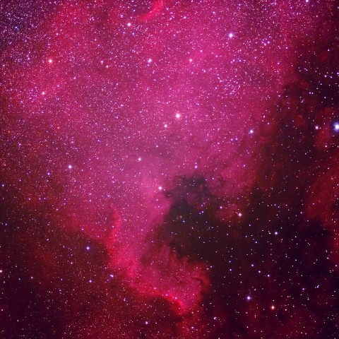 NGC7000