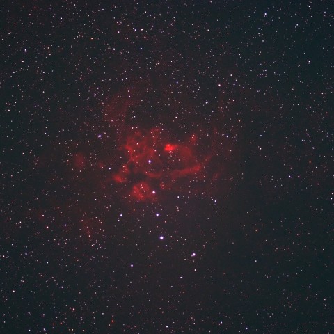 彼岸花星雲付近