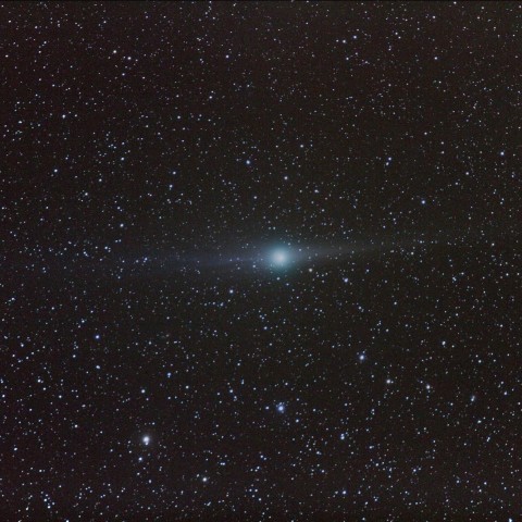 ギャラッド彗星（C/2009 P1） ほぼ真正面