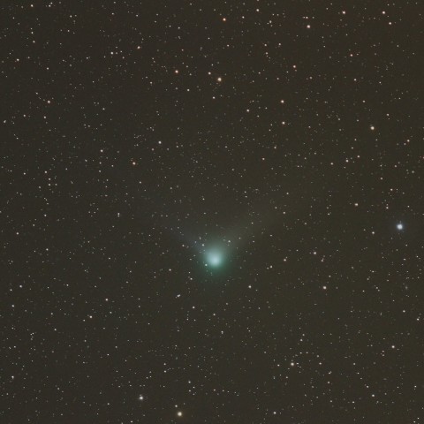 ギャラッド彗星(C/2009 P1) 3/24/2012