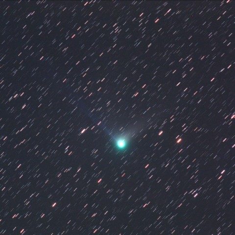 ギャラッド彗星(C/2009 P1) 3/25/2012