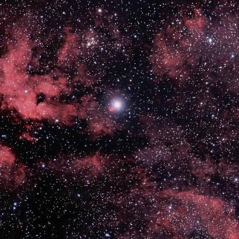 白鳥座サドル付近