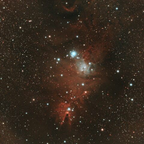 クリスマスツリー星団