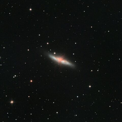 M82
