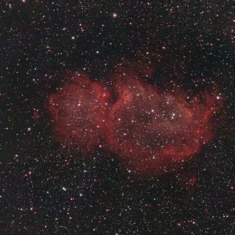IC1848