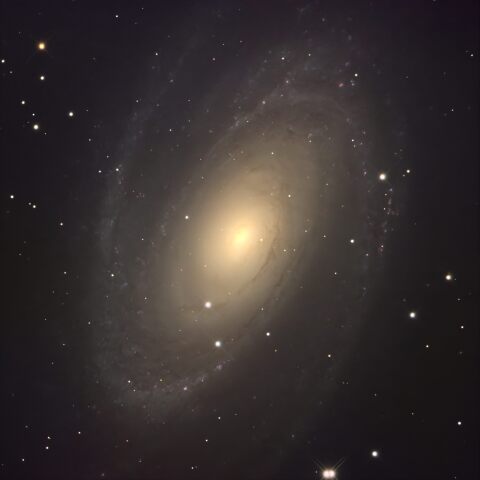 M81