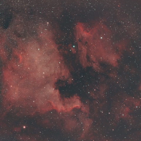 NGC7000