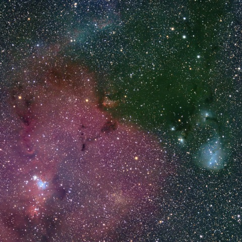 NGC2264 IC447 付近