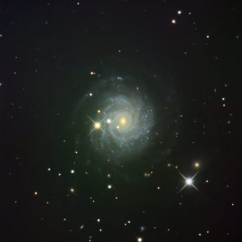 NGC3344