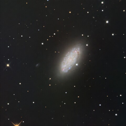 NGC2976