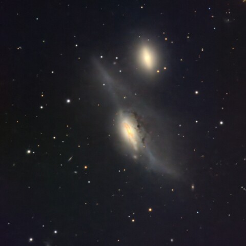 NGC4438