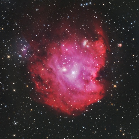 NGC2175